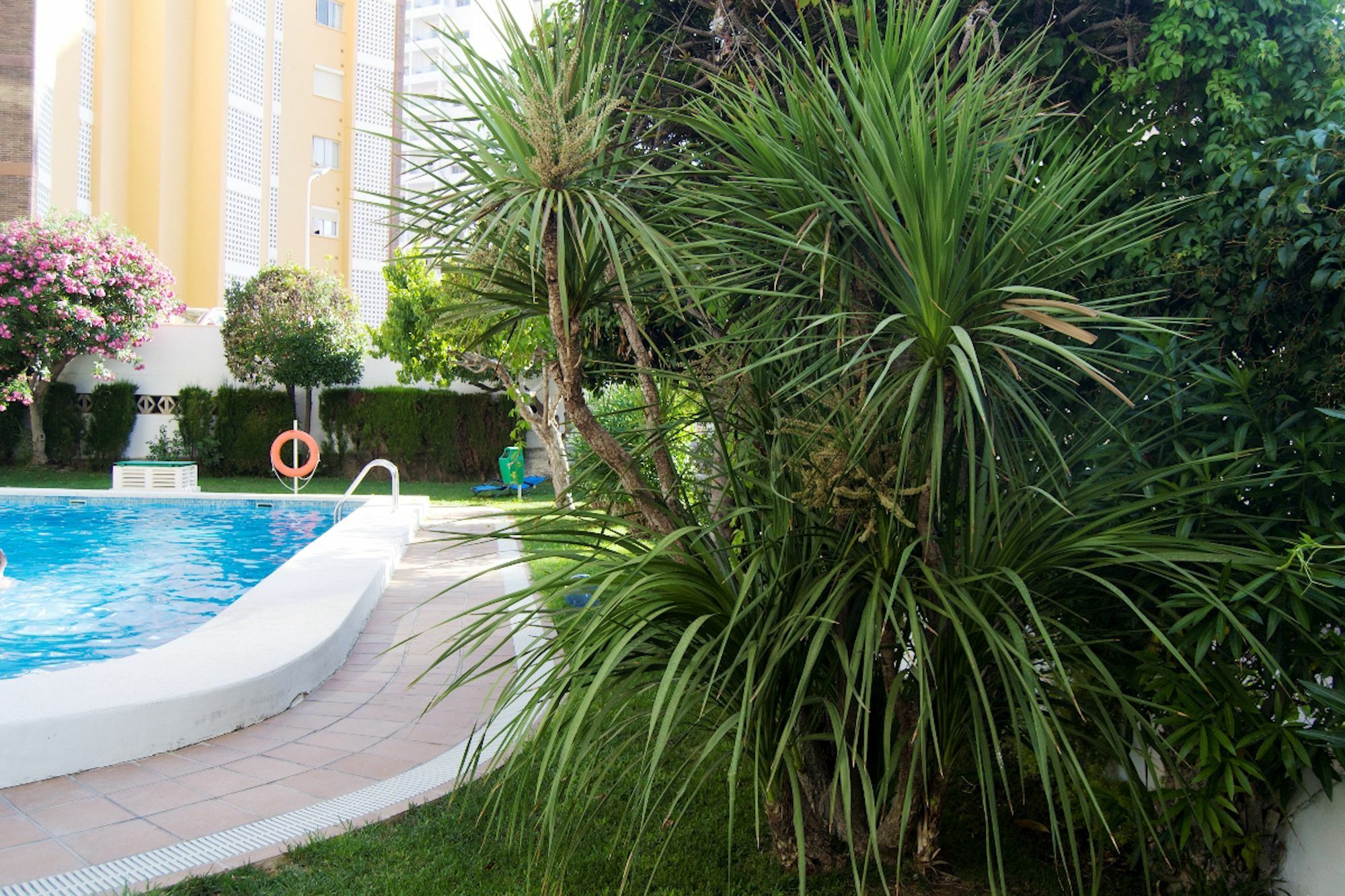 Gemelos V Alquilevante Centro Benidorm Extérieur photo